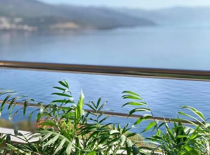 Appartement Bellevue *